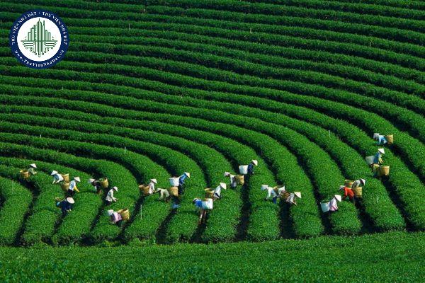 thuviennhadat.vn