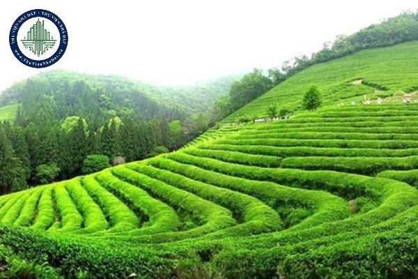 thuviennhadat.vn