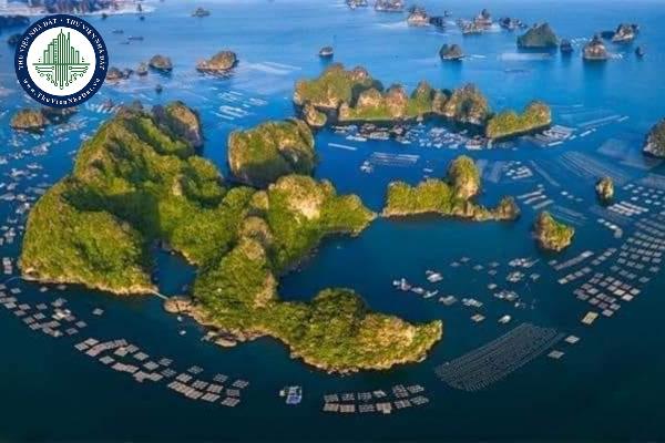 Đất chưa sử dụng tại các đảo chưa giao cho đơn vị hành chính do ai quản lý theo quy định hiện hành?