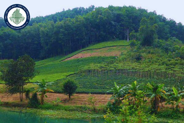 Có phải đăng ký đất đai lần đầu đối với thửa đất được Nhà nước cho thuê để sử dụng không?