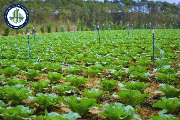 Mức xử phạt hành chính cho hành vi không đưa đất trồng cây hằng năm vào sử dụng trong 12 tháng là bao nhiêu?