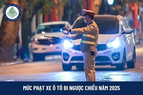 Năm 2025, xe ô tô đi ngược chiều phạt bao nhiêu?