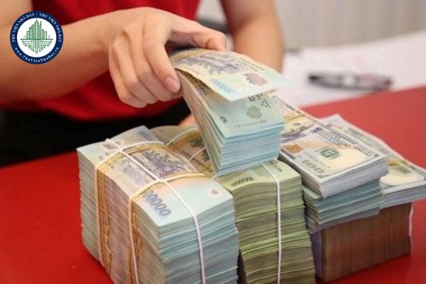 thuviennhadat.vn