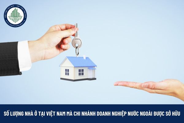 Số lượng nhà ở tại Việt Nam mà chi nhánh doanh nghiệp nước ngoài được sở hữu?