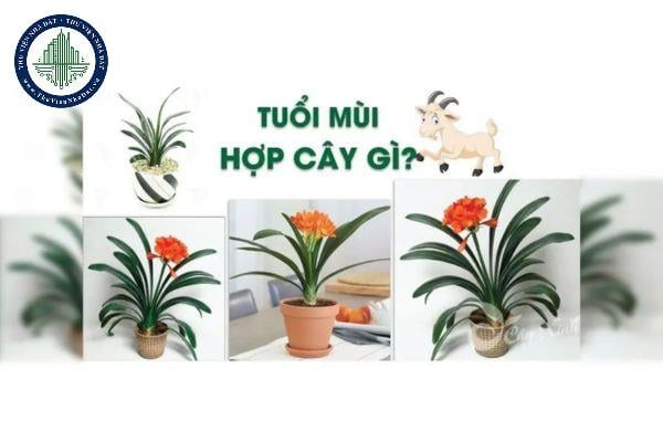 thuviennhadat.vn