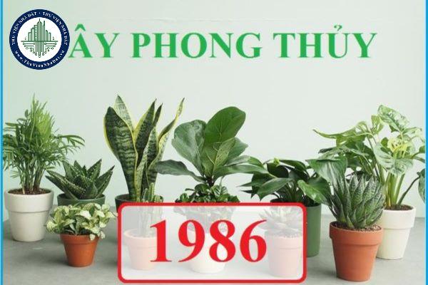 thuviennhadat.vn
