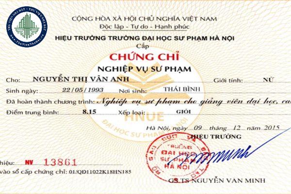 thuviennhadat.vn