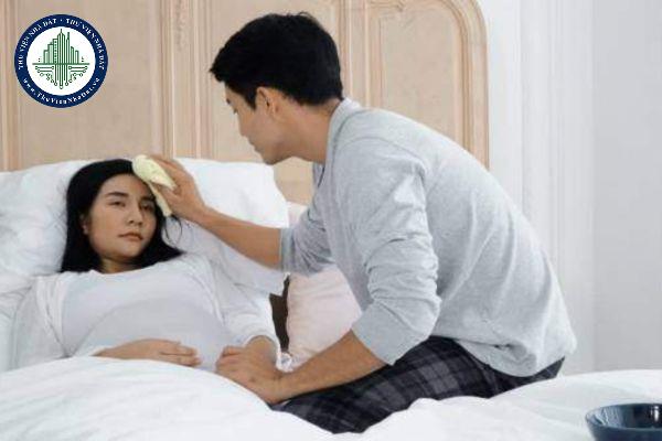 thuviennhadat.vn