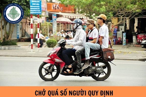 thuviennhadat.vn