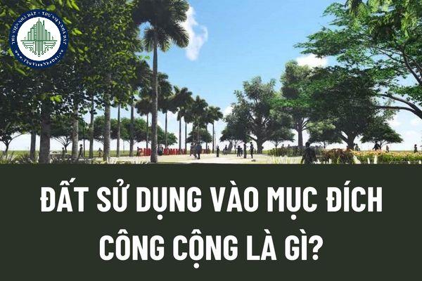 thuviennhadat.vn