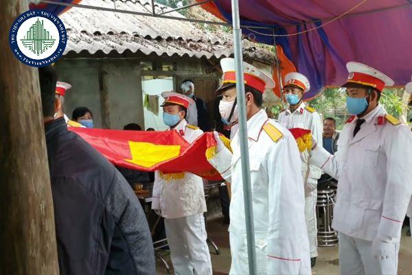 thuviennhadat.vn