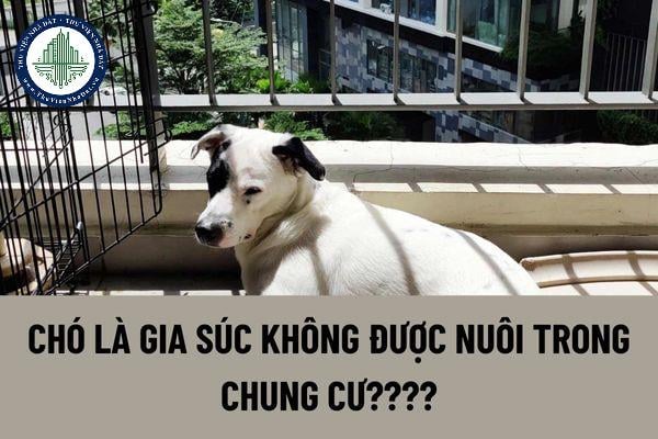 thuviennhadat.vn