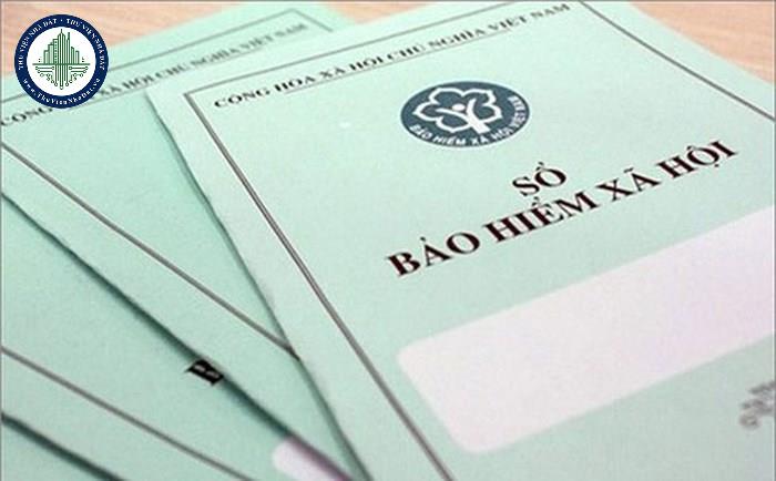 thuviennhadat.vn