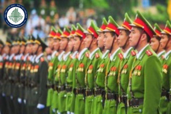 thuviennhadat.vn
