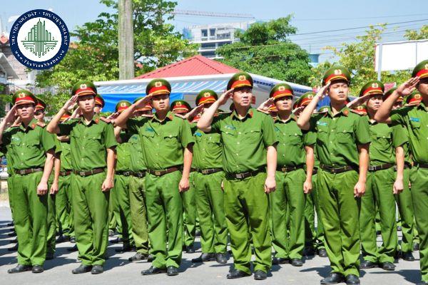 thuviennhadat.vn