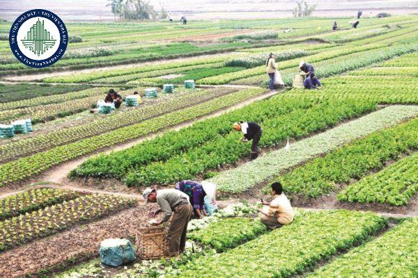 Hộ gia đình có được nhà nước giao đất không thu tiền sử dụng đất theo Luật Đất đai 2024 không?