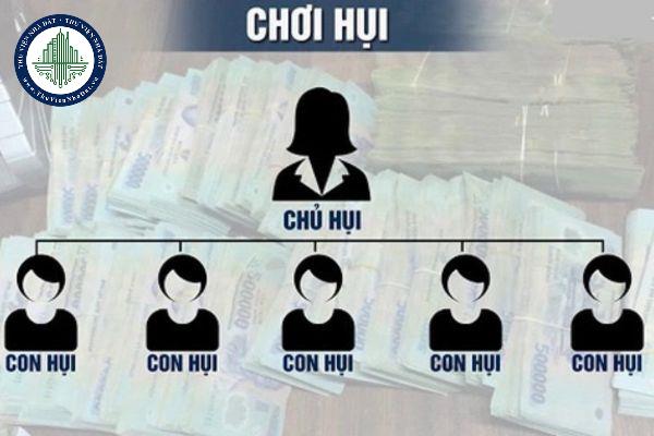 thuviennhadat.vn