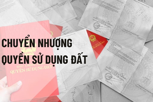 Nhận chuyển nhượng quyền sử dụng đất là tài sản của người thi hành án thì xử lý như thế nào?