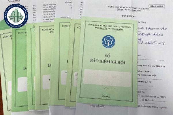thuviennhadat.vn