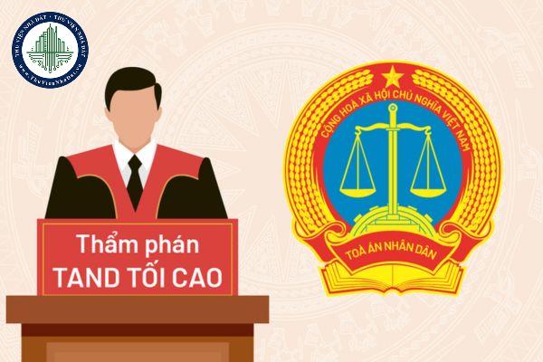 thuviennhadat.vn