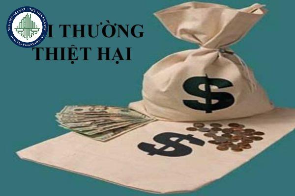 thuviennhadat.vn