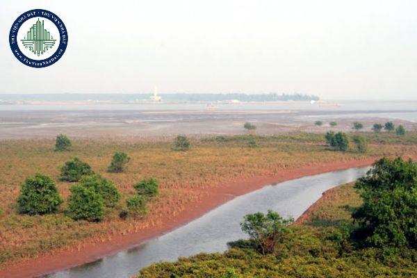 thuviennhadat.vn