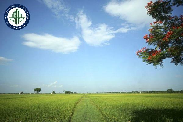 Tải mẫu thống kê, kiểm kê diện tích đất đai theo đơn vị hành chính mới nhất ở đâu?