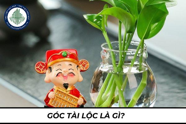 thuviennhadat.vn