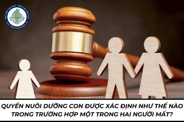 thuviennhadat.vn