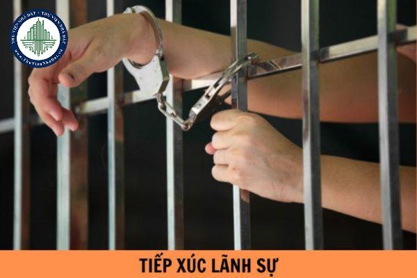 thuviennhadat.vn