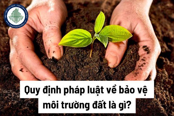 Bảo vệ môi trường đất quy định như thế nào? Khu vực ô nhiễm môi trường đất được phân loại thế nào?