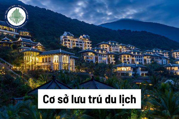 thuviennhadat.vn