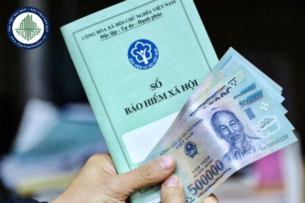 thuviennhadat.vn