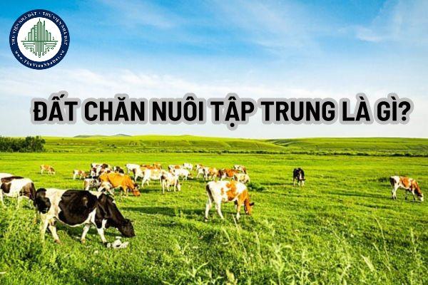 Khái niệm và vai trò của đất chăn nuôi tập trung là gì?