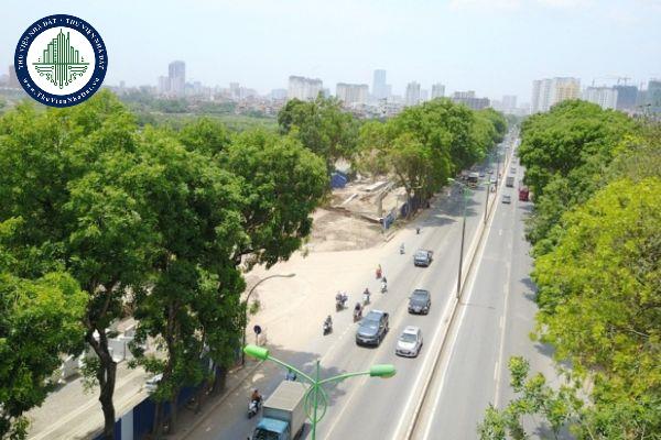 Nội dung quy hoạch cây xanh trong quy hoạch đô thị quy định như thế nào?