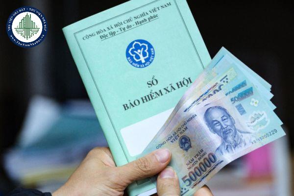 thuviennhadat.vn