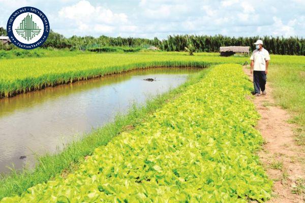 Việc chuyển đổi từ trồng lúa sang trồng lúa kết hợp nuôi trồng thủy sản thì được sử dụng tối đa bao nhiêu phần diện tích đất trồng lúa để hạ thấp mặt bằng? 