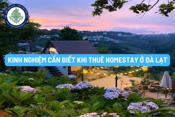 thuviennhadat.vn