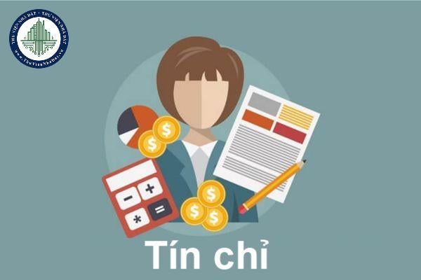 thuviennhadat.vn