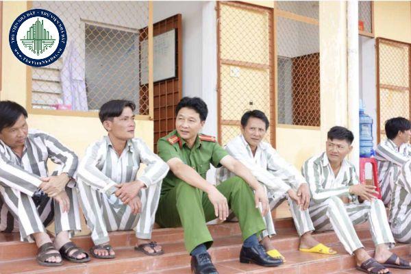 thuviennhadat.vn