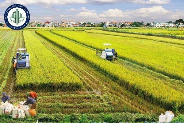 Độ sâu tầng đất mặt phải bóc tách tối thiểu từ bao nhiêu khi xây dựng công trình trên đất được chuyển đổi từ đất chuyên trồng lúa sang mục đích phi nông nghiệp?