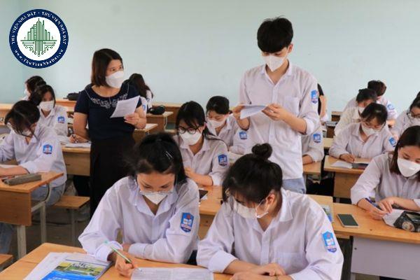 thuviennhadat.vn