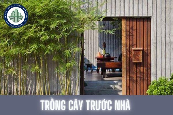 thuviennhadat.vn