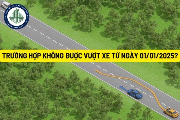thuviennhadat.vn