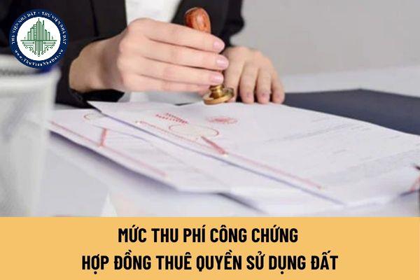 thuviennhadat.vn