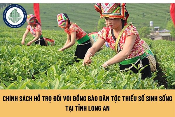 Chính sách hỗ trợ đối với đồng bào dân tộc thiểu số sinh sống trên địa bàn tỉnh Long An