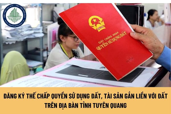 Quản lý nhà nước về đăng ký thế chấp quyền sử dụng đất, tài sản gắn liền với đất trên địa bàn tỉnh Tuyên Quang thực hiện theo nguyên tắc?