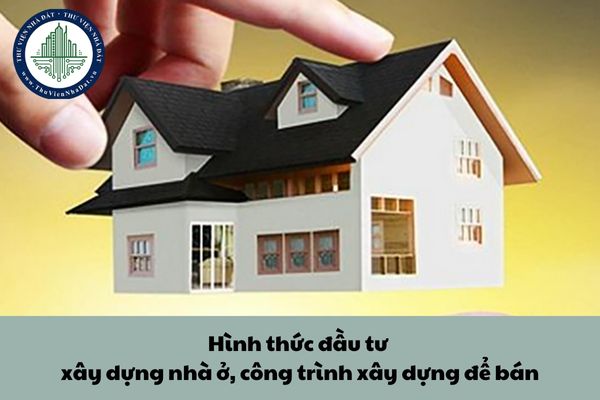 Cá nhân trong nước được kinh doanh bất động sản bằng hình thức đầu tư xây dựng nhà ở, công trình xây dựng để bán hay không?