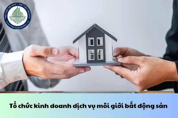 Tổ chức kinh doanh dịch vụ môi giới bất động sản phải có bao nhiêu cá nhân có chứng chỉ môi giới bất động sản