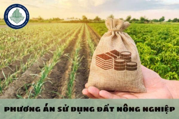 Phương án sử dụng đất nông nghiệp do cơ quan nào chấp thuận?